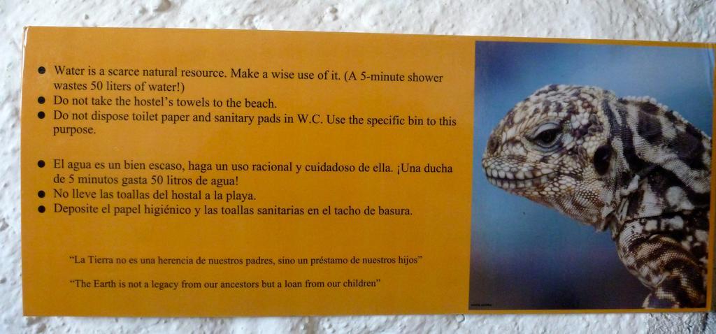 La K-Leta Boutique Guesthouse Puerto Ayora  Bagian luar foto